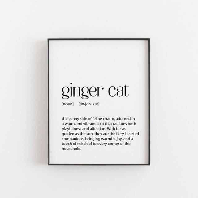 Ginger Cat Definition Print, Lover Gifts, Gift, Galley Art, D??cor, Home Art Mum Poster - image 1