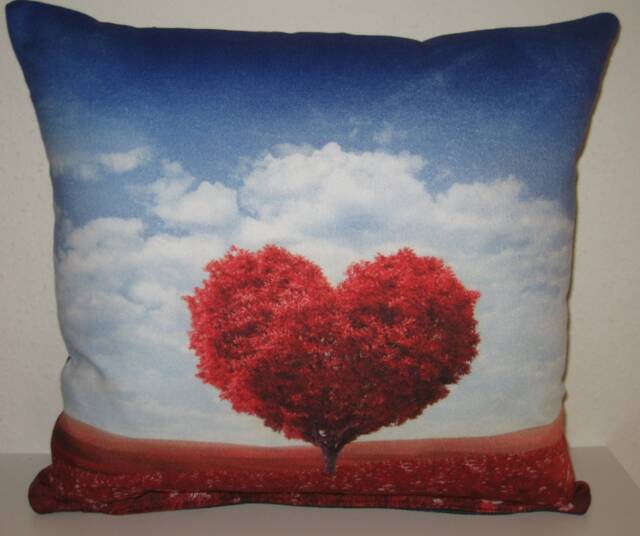 Decorative Pillow Cover Matter Of The Heart Mother's Day Love Valentine's Case - image 1