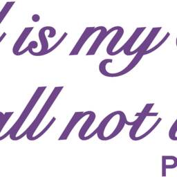 Psalm 23 Niv Christian Bible Quote Vinyl Wall Art Sticker Decal Mural. Home, Church, School Decor. Wall, Window, Mirror - thumbnail 4