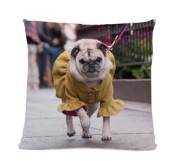 Photo Pillow - Home Decor Your Own Dog On A Dog Home Decor Custom Photo Pillow Design - thumbnail 1