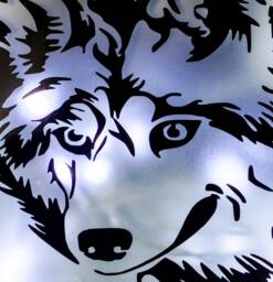 Wolf Nightlight, Glass Cube Head Light, Personalised Option
