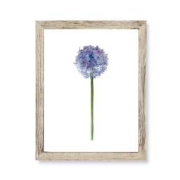 Allium Print , Wall Art Watercolour Flower Botanical Room Decor Set Of 3 Prints - Bedroom Home Office - thumbnail 2