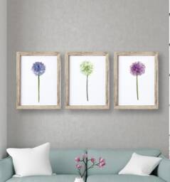 Allium Print , Wall Art Watercolour Flower Botanical Room Decor Set Of 3 Prints - Bedroom Home Office - thumbnail 1