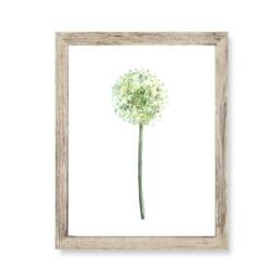 Allium Print , Wall Art Watercolour Flower Botanical Room Decor Set Of 3 Prints - Bedroom Home Office - thumbnail 3