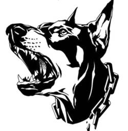 Doberman Guard Dog K9 Security Car Van Bonnet Vinyl Side Sticker Wall Art Hood Graphic Window Door Sign Motorhome Campervan