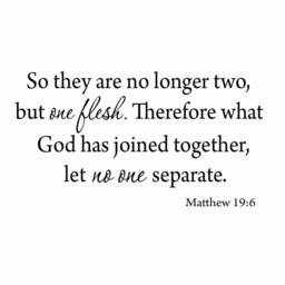 So They Are No Longer Two But One Flesh Bible Wall Decal Love Marriage Quotes Couples Vwaq??-558 - thumbnail 2