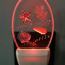 Seashell Night Light - thumbnail 2