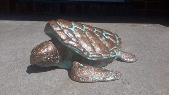 Loggerhead Turtle Box - image 1