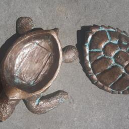 Loggerhead Turtle Box - thumbnail 4