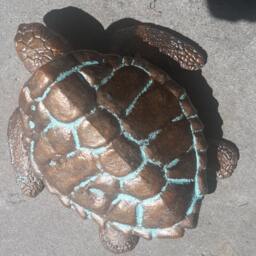 Loggerhead Turtle Box - thumbnail 2
