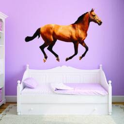 Horse - Peel & Stick Vinyl Wall Decals - Pony Sticker Stallion Art Reusable Fabric Decal Vwaq-Pas22 - thumbnail 1