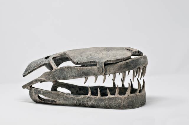 Archosaur - image 1