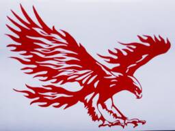 Hawk Decal Eagle Flames Attack Wall Art Car Van Bonnet Vinyl Side Sticker Hood Graphic Window Door Sign Motorhome Campervan
