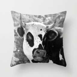 Cow, Pillow Or Cover Home Decoration, Rustic, Farmhouse, Grey, Black, White, Animal Cover, Kids Decor, Country Living - thumbnail 1