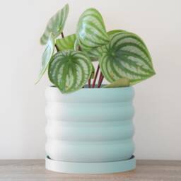 "Bubbly Planter With Drainage & Saucer in Cotton Candy Blue, Unique 3D-Printed Plant Pot, Small To Large Sizes 4"" 5"" 6"" 7"" 8" - thumbnail 4