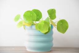 "Bubbly Planter With Drainage & Saucer in Cotton Candy Blue, Unique 3D-Printed Plant Pot, Small To Large Sizes 4"" 5"" 6"" 7"" 8"