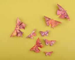 3D Butterfly Wall Art Wildflower Paper Butterflies For Decor, Nursery, Children's Room - thumbnail 1