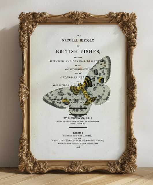 Vintage Style Butterfly Print, Book Page, A4, Fabulous Vintage Wall Art