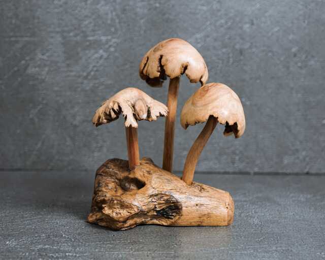Parasite Wood Mushroom Sculpture Wooden Room Decor 5 - image 1