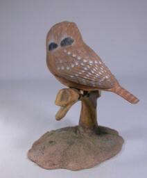 5-7/8 Inch Ferruginous Pygmy Owl Hand Carved Wooden Bird - thumbnail 4