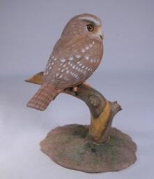 5-7/8 Inch Ferruginous Pygmy Owl Hand Carved Wooden Bird - thumbnail 3