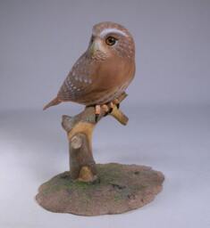 5-7/8 Inch Ferruginous Pygmy Owl Hand Carved Wooden Bird - thumbnail 1