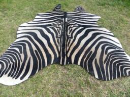 Zebra New Cowhide Rug Genuine Natural Hair On - Large Black White Beige Brown Print Printed Soft Hair Zbl - thumbnail 1