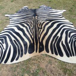 Zebra New Cowhide Rug Genuine Natural Hair On - Large Black White Beige Brown Print Printed Soft Hair Zbl - thumbnail 4