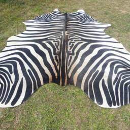 Zebra New Cowhide Rug Genuine Natural Hair On - Large Black White Beige Brown Print Printed Soft Hair Zbl - thumbnail 2