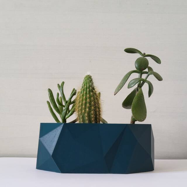 The Samoa Indoor Planter For Cacti & Small Plants - image 1