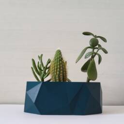 The Samoa Indoor Planter For Cacti & Small Plants - thumbnail 1