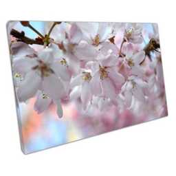 Elegant Cherry Blossom Tree Canvas Ready-To-Hang Wall Art For Home & Office Decor - thumbnail 1