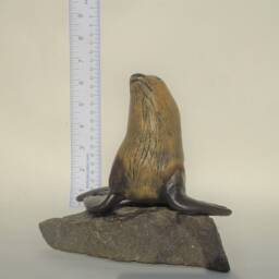 Male Stellar's Sealion On Rock - thumbnail 3