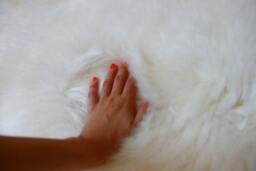 Wow Genuine Natural Lambskin/Sheepskin Rug, Pelt, Soft Long Fur Xl Large Perfect For Christmas Tree Design - thumbnail 4
