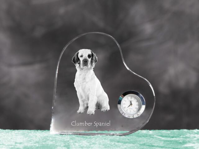 Clumber Spaniel - Crystal Clock in The Shape Of A Heart With Image Pure-Bred Dog - image 1