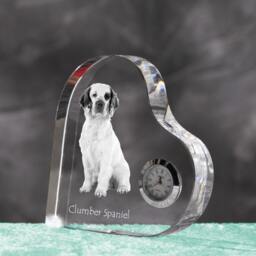 Clumber Spaniel - Crystal Clock in The Shape Of A Heart With Image Pure-Bred Dog - thumbnail 2