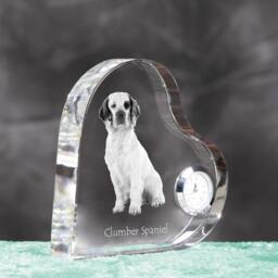 Clumber Spaniel - Crystal Clock in The Shape Of A Heart With Image Pure-Bred Dog - thumbnail 3