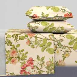 Flower Sheets - English Rose Alabaster By Peacoquettedesigns Vintage Cream Floral Cotton Sateen Sheet Set Bedding Spoonflower