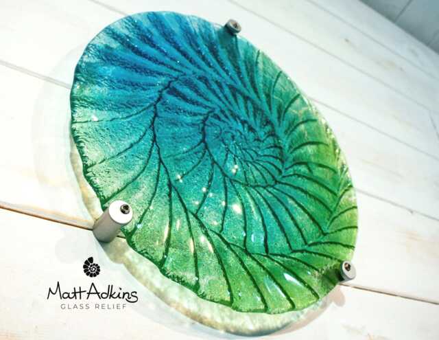 Round Ammonite Wall Art 29cm(11 1/2 - image 1