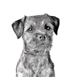 Border Terrier - Wooden Stand For Candles/Pens With The Image Of A Dog New Collection - thumbnail 2
