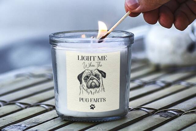 Pug Gifts, Funny Gift For Dog Owners, Farts Candle, Scented Jar Candles, Mum, Dad, Mothers Day, Novelty, Pet Present - image 1