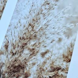 Set Of 2 Pampas Prints, Boho Decor, Wall Art, Bohemian Calming Wall Art, Neutral Living Room Print Set, Pampas Detail Brown - thumbnail 2