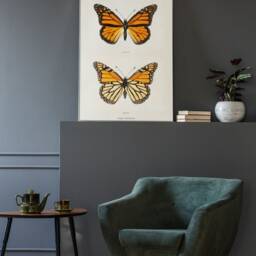 Monarch Butterfly Print - Danais Archippus Professional Quality Poster Art - thumbnail 2