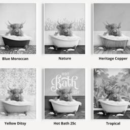 Black & White Scottish Highland Cattle in A Bathtub Print, Cow Bathing, Funny Bathroom Print, Animal Bathtub, Highland Tub Print - thumbnail 3