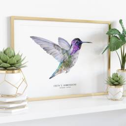 Costa's Hummingbird Watercolor Fine Art Print - Bird Lover Gifts Nature Wall Hummingbirds Home D??cor Costa Costas Calypte Costae - thumbnail 3