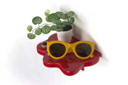 Aesthetic Shelf - Red Shelf, Maximalist Decor, Plant Blob Wall Powder Coated - thumbnail 1