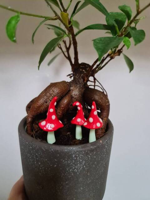 Handmade Glow in The Dark Mushroom Set Fairy Garden Decor - image 1