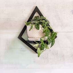 Wall Mount Matte Black Diamond Planter With Saucer, Geometric Plant Shelf, Boho Decor, Indoor Planters, Gift For Plant Lovers - thumbnail 2