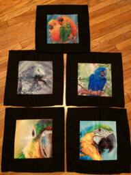 Decorative Throw Pillowcase Covers. Choose From 5 Designs Featuring Original Artwork