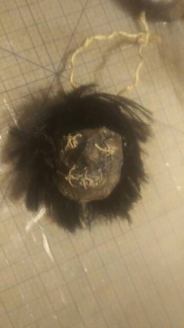Paper Mache Brunette Shrunken Head - image 1